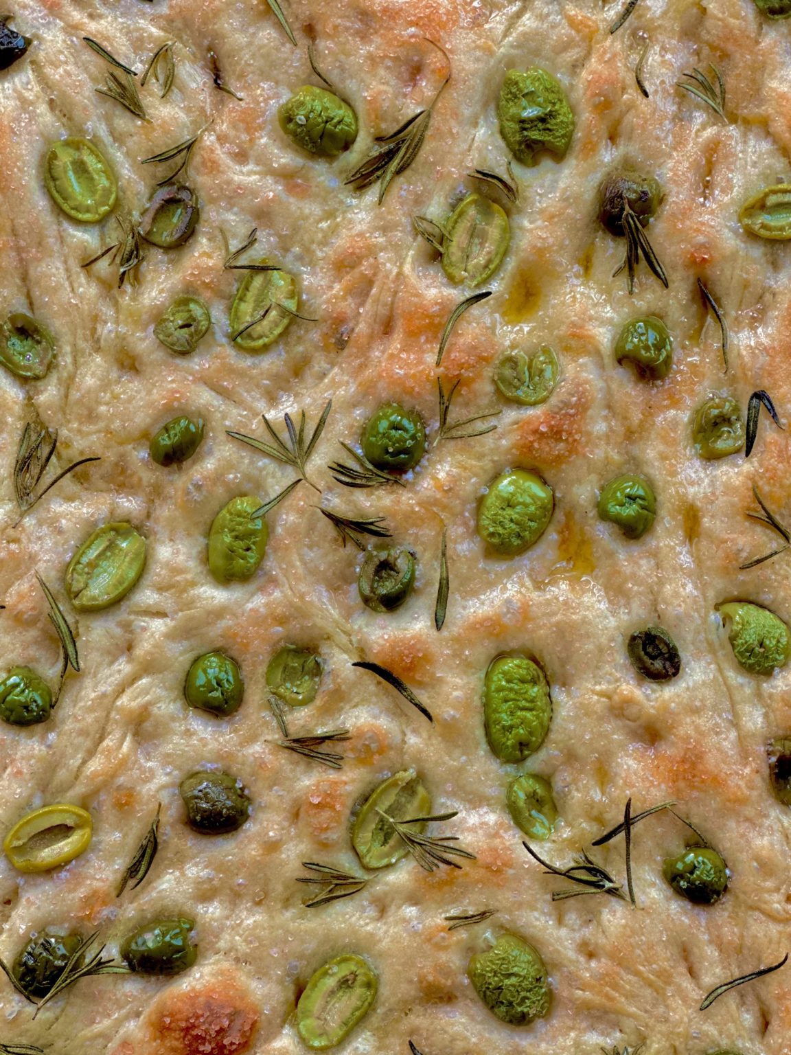 Week 9: Olive Studded Focaccia